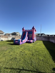 IMG 3187 1758598597 Dry Pink Combo Palace